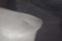 фото thumb №8, Крыло правый перед передний чёрный peugeot 207 06-09