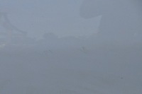 фото thumb №10, Hyundai ix35 дверь левый перед левая передние