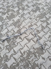 фото thumb №1, Шланг трубка компрессора воздуха renault magnum dxi 13