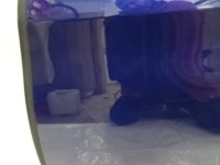 фото thumb №6, Peugeot 308 t9 ii hb дверь левая задние eegd