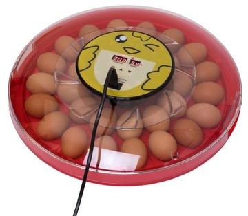 Инкубатор выводной EGG HATTER FOR POULTRY 30 яиц курино-гусиных яиц утиных яиц