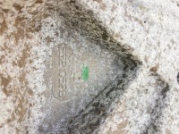 Кронштейн компрессора lancia delta iii 1.6 m-jet 55210528 в Украине, фото thumb