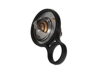 фото thumb №1, Термостат з ущільнювач. 91 st.