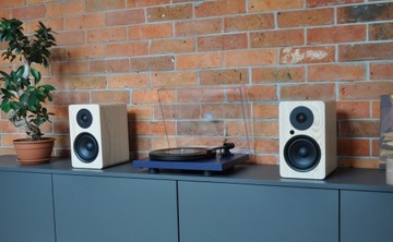 ПРОЕКТ ДЕБЮТ CARBON BLUE+ARGON AUDIO ALTO A5 ASH