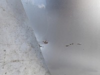 фото thumb №10, Honda jazz iii 13-20 крышка багажника багажника задняя задняя