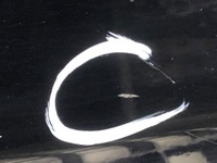 фото thumb №9, Двері лівий задня lexus gs хетчбек 05-12