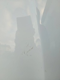 фото thumb №12, Капот кришка двигуна bmw f10 f11 300 альпійський білий дорестайлінг рестайлінг