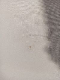 фото thumb №5, Volvo xc70 v70 iii потолок 39864352