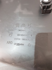 фото thumb №5, Боковина двері праві зад зсувних 9818041677 opel combo e berlingo iv eu