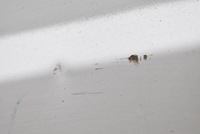 фото thumb №7, Дверь задние левая крыло белый peugeot boxer 3 iii lift 14-