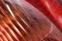 фото thumb №12, Лампа левая задняя задняя 81560-0h030 citroen c1 c 1 05-14