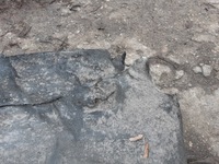 фото thumb №9, Audi a7 4g підкрилок обшивка ліва передні лівий перед 4g8821171d