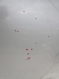 фото thumb №9, Peugeot 308 iii t10 21- капот крышка двигателя