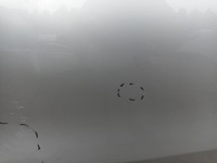 фото thumb №6, Дверь левая задние nissan pulsar задняя левый