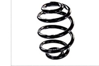 фото thumb №2, Magnum пружина подвеска