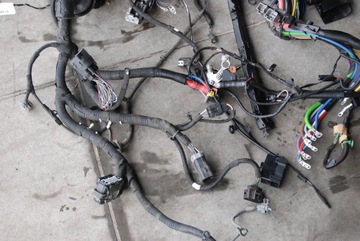 фото thumb №9, Жгут установка главная ford transit mk8 2.0tdci