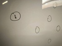 Renault kangoo 2 2014 крышка передняя / капот двигателя в Украине, фото thumb