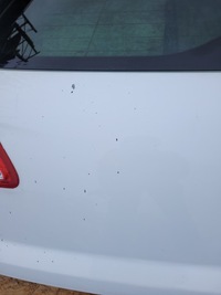 фото thumb №8, Крышка багажника задняя зад citroen c4 ii b7