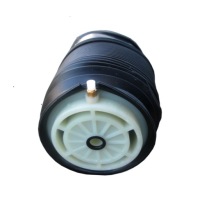 Купить Подушка пневмоподушка задний  das10055 do mercedes x218, eo-0040186, фото thumb