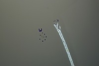 фото thumb №7, Капот крышка двигателя audi a5 8t ly9c