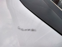 фото thumb №12, Капот крышка двигателя citroen c4 picasso ezrc 6-13