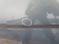 фото thumb №8, Дверь передние правое renault trafic 06-