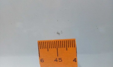 фото thumb №5, Стекло лобовое subaru legacy / outback 2010-2015 датчик org