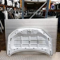 фото thumb №5, C956 капот suzuki grand vitara iii 2015-