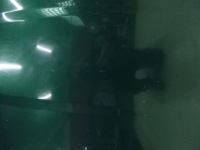 Капот seat ibiza 2 рестайлінг  ls6t 2001 r. в Україні, фото thumb