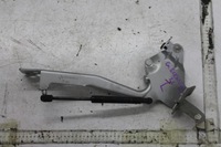 фото thumb №4, Петля петли капот комплект scenic iii ted69 13-