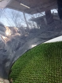 фото thumb №6, Dacia lodgy 12- крила передній правий перед dvd42