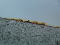 фото thumb №8, Дверь правое перед partner berlingo iii белый ewpa