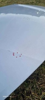 фото thumb №7, Opel astra k капот крышка двигателя