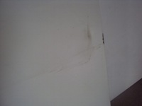 фото thumb №8, Двері ліва зсувні peugeot expert iii ewpa 16-