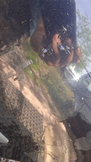 фото thumb №12, Volvo v50 ii kombi двері задня лівий 346