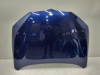 фото thumb №1, Капот bmw x1 f48