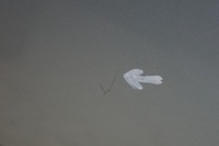 фото thumb №9, Двері правий задня peugeot 207 sw kombi ezrc