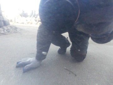 фото thumb №12, Двері vw passat b7 3aa праві передні чорні lc9x оригінал