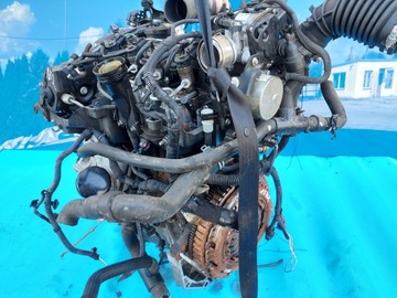 фото thumb №12, Двигатель nissan nv200 kangoo 1.5 dci k9ke628 179.000 km