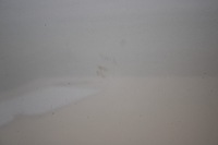 фото thumb №4, Двері лівий перед kia sorento ii 3d