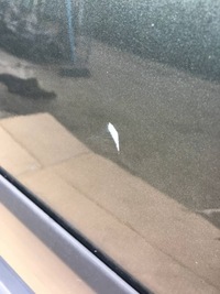 фото thumb №6, Дверь правый перед land rover discovery iii lrc904