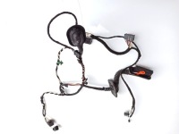 фото thumb №1, Vw cc жгут электропроводка дверь правая 3c8971694dt