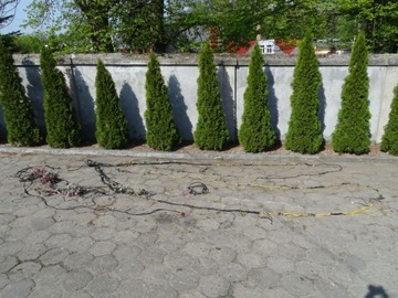 фото thumb №16, Надстройка автобус автобус полки воздуховод освещение