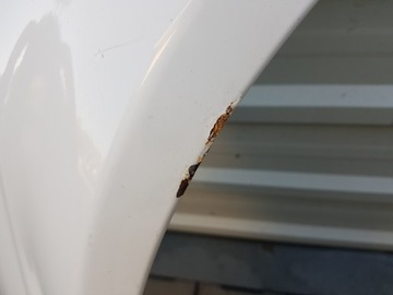 фото thumb №6, Audi a3 8p рестайлинг 08-12r крыло правые перед ly9c