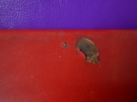 Volvo 440/460 88-96 капот крышка двигателя Оригинал, фото thumb