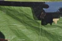 фото thumb №6, Скло лобове підігрівається датчик vw e-up! up 2013