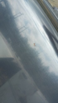 фото thumb №8, Audi a4 b5 sedan кришка багажника задня багажника