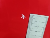 фото thumb №9, Двері задня ліва hyundai getz lift 05-11 червоний or