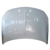 фото thumb №1, Капот opel insignia ii b 17-