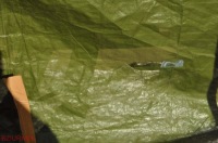 фото thumb №12, Скло лобове підігрівається датчик vw e-up! up 2013